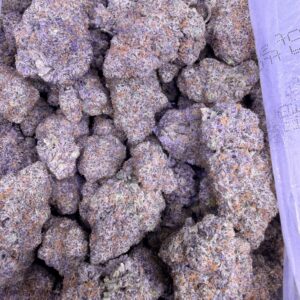 GELATO POP - $300/oz