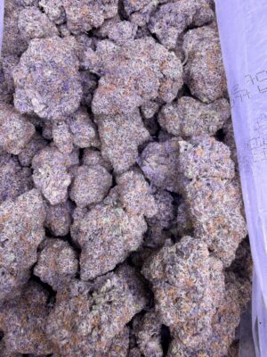 GELATO POP - $300/oz